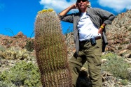 Anza-Borrego CA