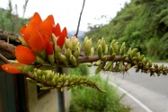 Baños, Ecuador