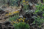 Black Canyon of the Gunnison NP CO