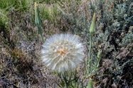 Black Canyon of the Gunnison NP CO