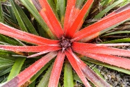 Chile