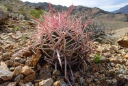 Death Valley CA