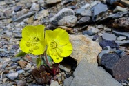 Death Valley CA