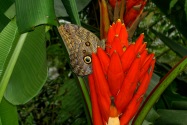 La Paz, Costa Rica