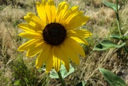 Scotts Bluff NM