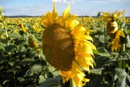 Sumy, Ukraine