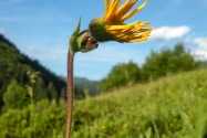 Western Ukraine