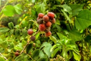 Vilcabamba, Ecuador