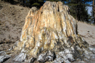 Florissant Fossil Beds NM, CO