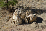Florissant Fossil Beds NM, CO