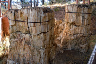 Florissant Fossil Beds NM, CO