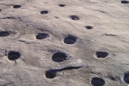 Indian Grinding Rock Park, Volcano, CA