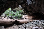 38-khaosamroiyotnp