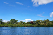 Isla Vista Tranquila