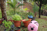 Casita
