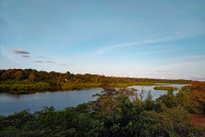 Isla Vista Tranquila