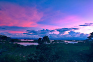 Isla Vista Tranquila