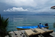 Island Life