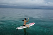Island Life