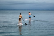 Island Life