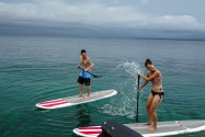 Island Life