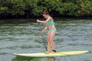 Island Life
