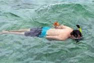 Island Life