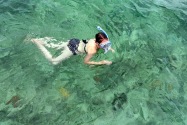 Island Life