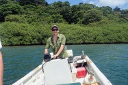 Island Life