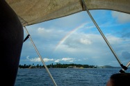 Island Life