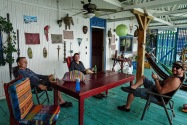 Island Life