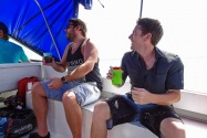 Island Life