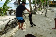 Island Life