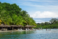 Island Life