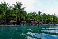 Island Life