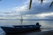 Island Life