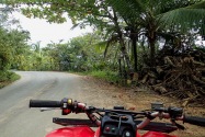 Island Life