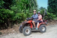Island Life