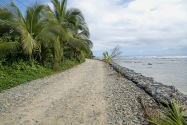 Island Life
