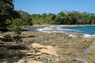 Island Life