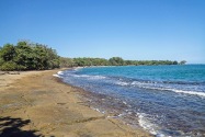 Island Life