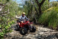 Island Life