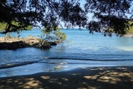 Island Life