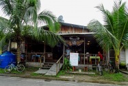 Island Life