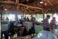 Island Life