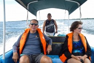 Island Life