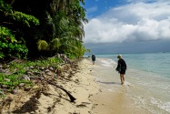 Island Life