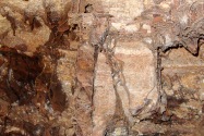 Wind Cave NP, SD