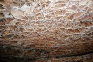 Wind Cave NP, SD