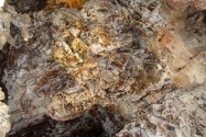 Wind Cave NP, SD